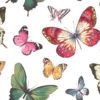 wallquest-jaima-brown-home-chelsea-lane-butterfly-jb60300
