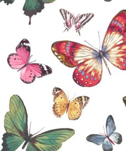 wallquest-jaima-brown-home-chelsea-lane-butterfly-jb60300