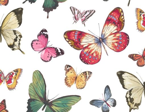 wallquest-jaima-brown-home-chelsea-lane-butterfly-jb60300