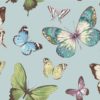 wallquest-jaima-brown-home-chelsea-lane-butterfly-jb60302