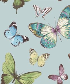 wallquest-jaima-brown-home-chelsea-lane-butterfly-jb60302