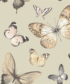 wallquest-jaima-brown-home-chelsea-lane-butterfly-jb60308