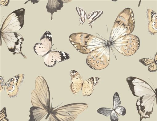 wallquest-jaima-brown-home-chelsea-lane-butterfly-jb60308