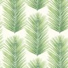 wallquest-jaima-brown-home-chelsea-lane-palmera-fern-jb60004