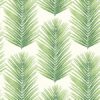 wallquest-jaima-brown-home-chelsea-lane-palmera-fern-jb60004