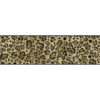 york-wallcoverings-growing-up-kids-seeing-spots-GK8977BD